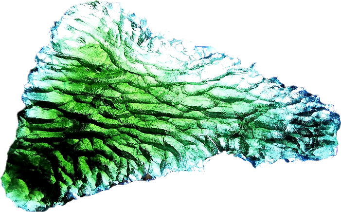 d9733931ff771260b5c68b7ad76cc763 (1)